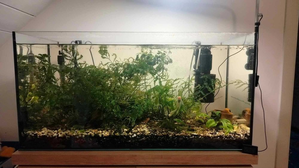 Akwarium proste 120L, Kolno.