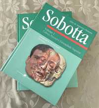 Sobotta - Atlas de Anatomia