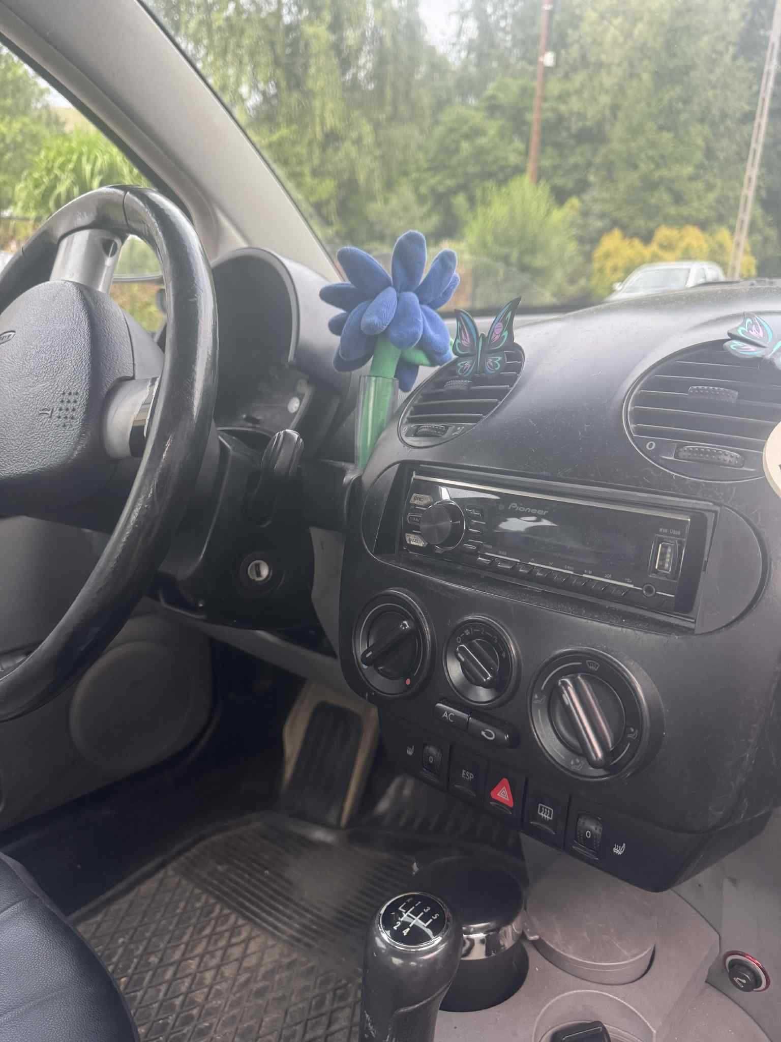Volkswagen New Beetle