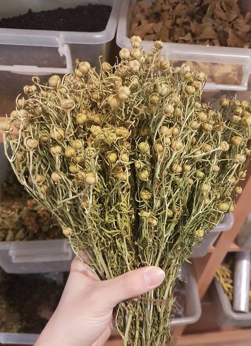 Гармала, могильник, пало санто, шалфей