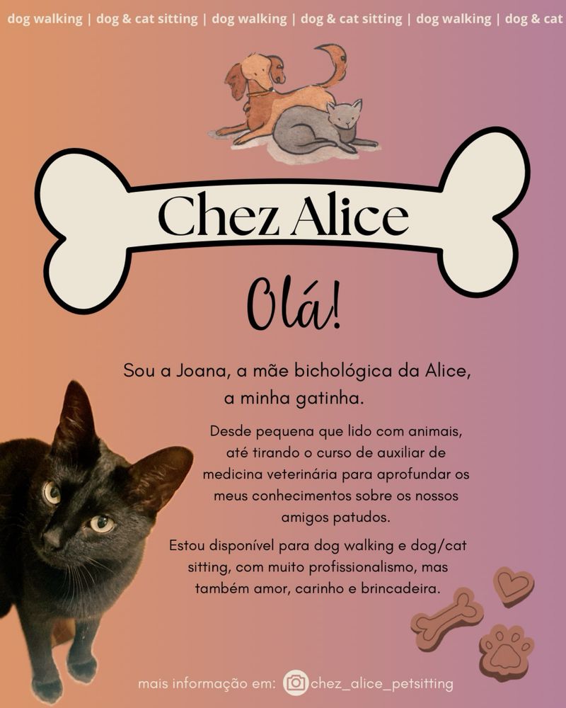 Pet sitting e walking - Chez Alice