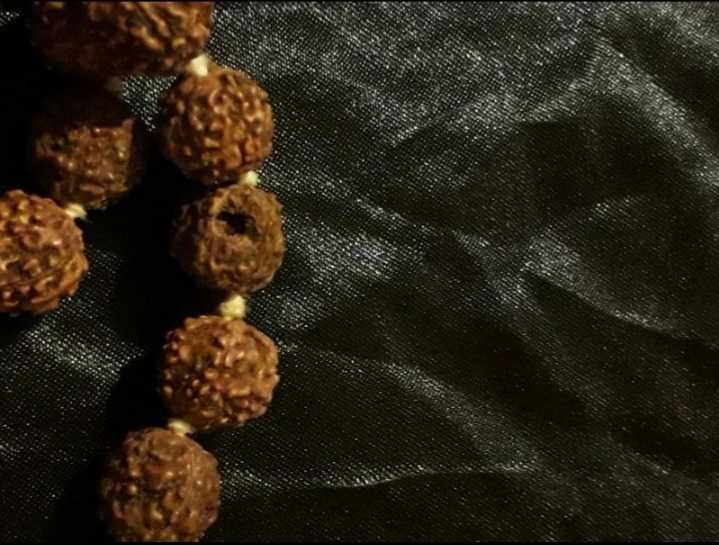 Mala Rudraksha 108 koralików