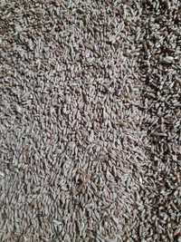 Продам пшеницю кормову  2023 урожаю року  доставка по м.Суми до 100кг