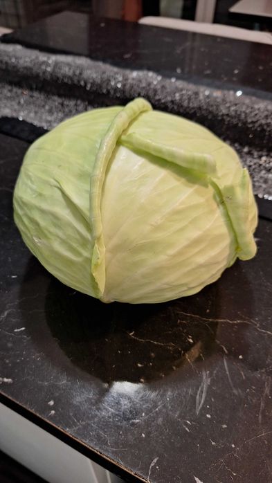 Kapusta biała od rolnika