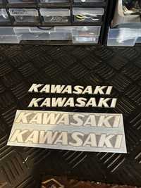 Emblemas kawasaki