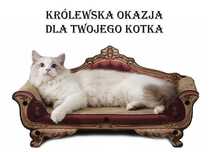 DRAPAK LEGOWISKO dla kota NOWA EKOLOGICZNA sofa tekturowa do drapnia