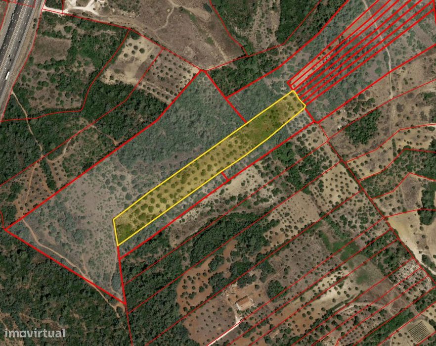 Terreno  Venda em Casével e Vaqueiros,Santarém