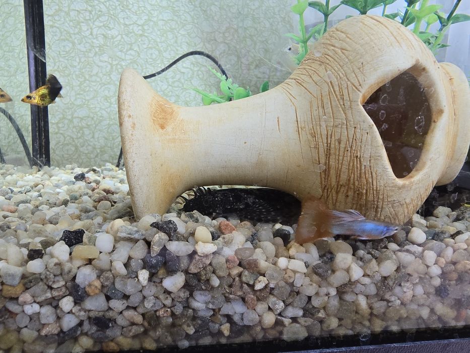 Акваріум з рибками.ПОВНИЙ КОМПЛЕКТ!