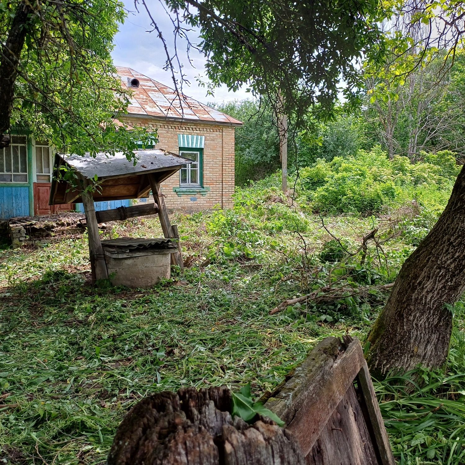 Дві суміжні земельні ділянки  площею 0,56 Га з будинком в с. Кобижча