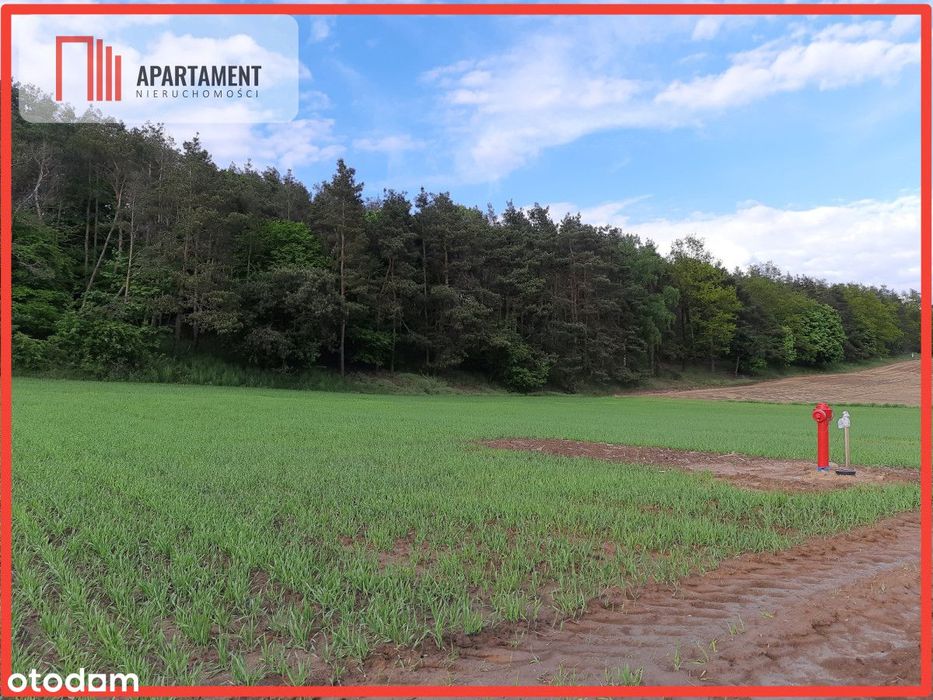 Atrakcyjne działki budowlane w Załachowie!