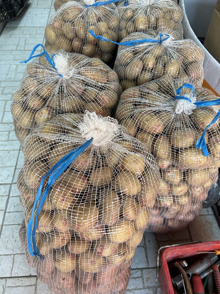 Batata nova biologica entre outros legumes