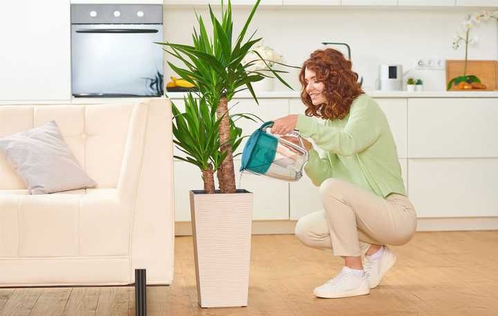 5 л. Фильтр-кувшин Ecosoft Maxima Аквагрин FMVMAXIMADGECO с картриджем