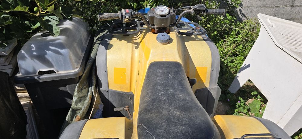 Moto quatro Roxon RX150