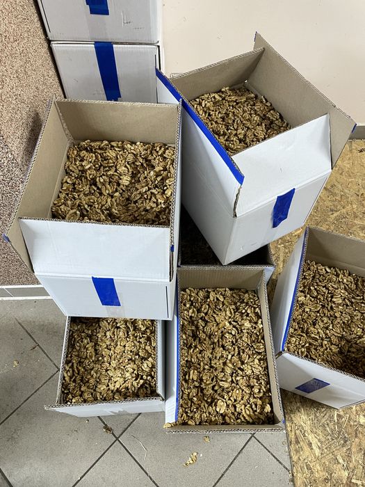 Грецький горіх очищений