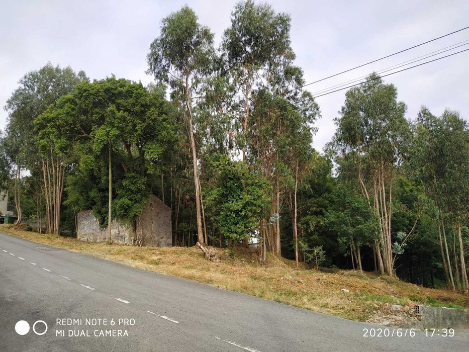 Terreno Rústico Ovar