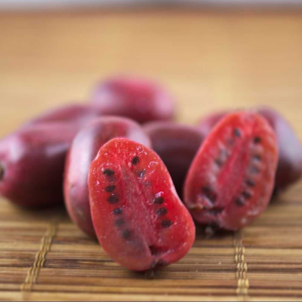 Planta de Kiwi Mini Vermelho - FRUTO SUPER DOCE Produtiva