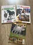Книги про лошадей Лот