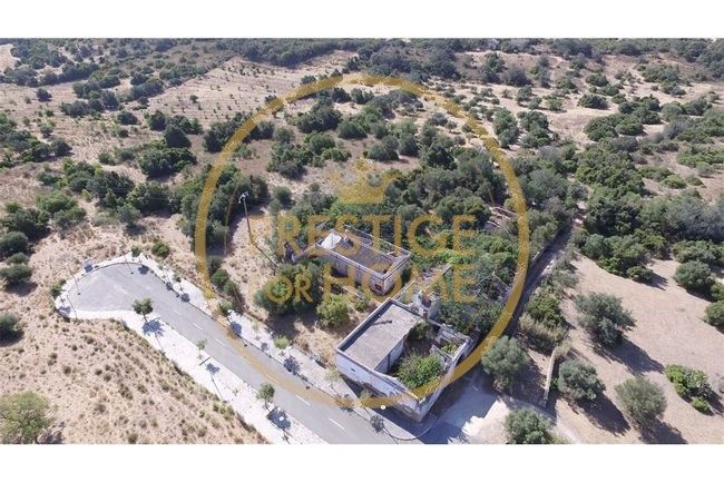Quinta com cerca de 3979 m2 com área de construção de cerca de 1600m2