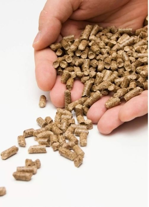 Pellet A1 -najlepsza klasa