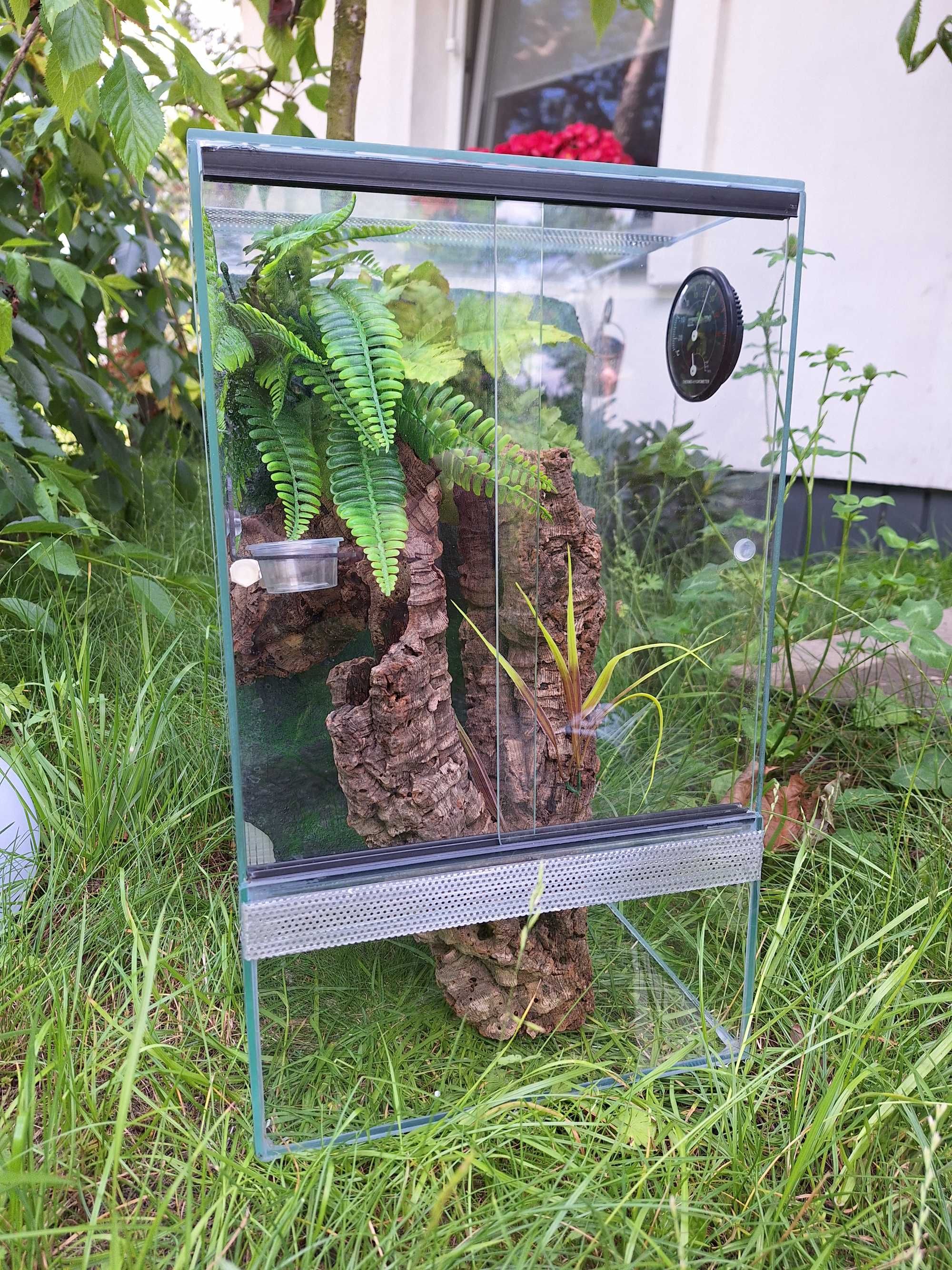 Terrarium szklane ze ścianką