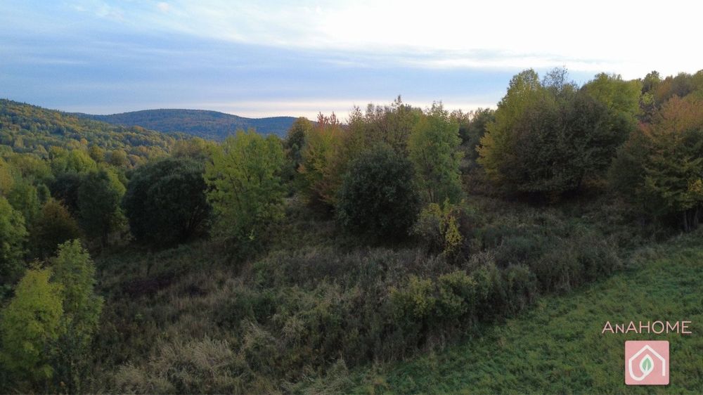 Zainwestuj w Ziemię! 1,28 ha Spokoju w Rozdzielu, gm. Lipinki