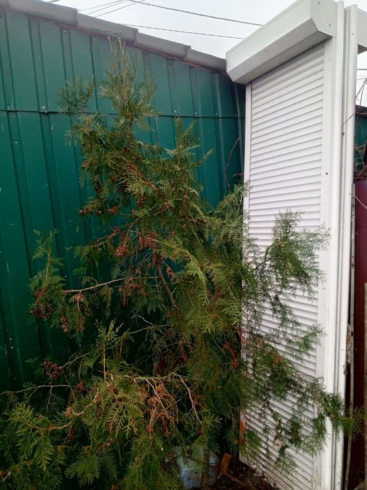 Продам ролети з алюмінієвими пакетами