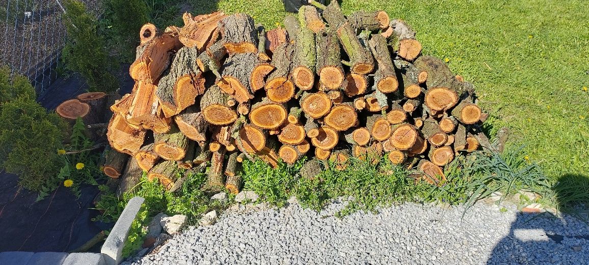 Drewno śliwka do wędzenia