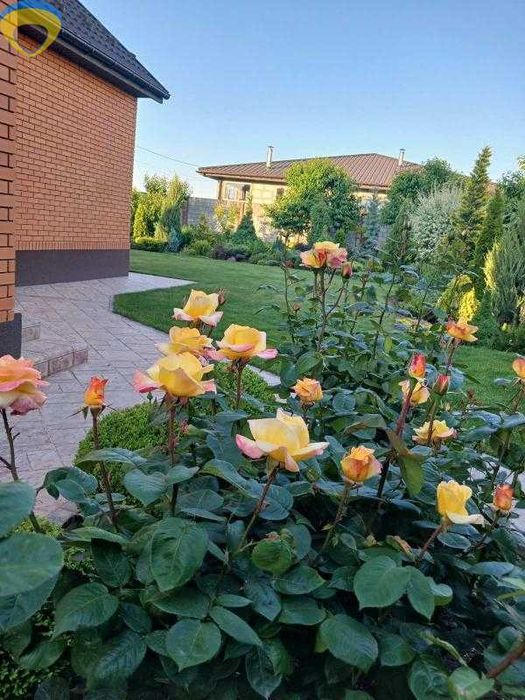 Откройте дверь — и почувствуйте, как жизнь наполняется светом.