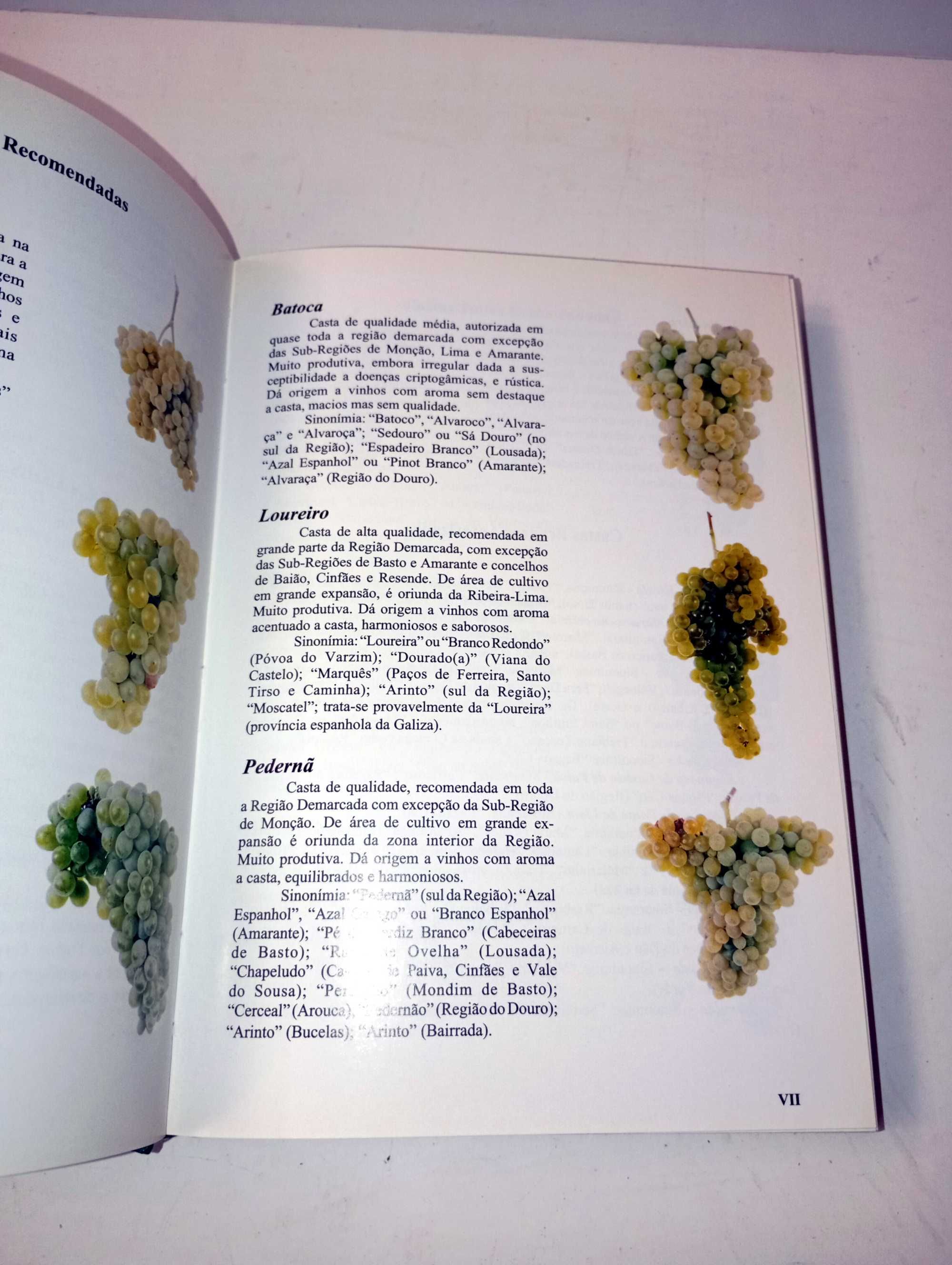 Catálogo de Vinhos Verdes