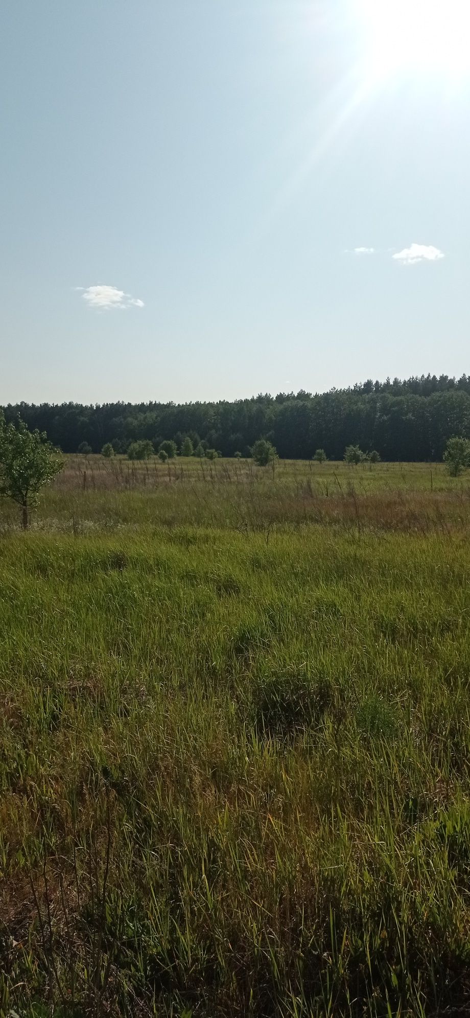 Земельна ділянка під будівництво