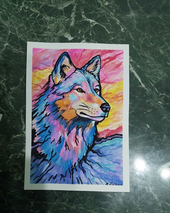 Akwarela obraz wilk wolf color