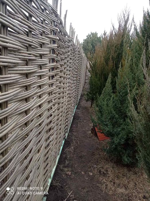 Тин. Плетений забор.75грн.секция