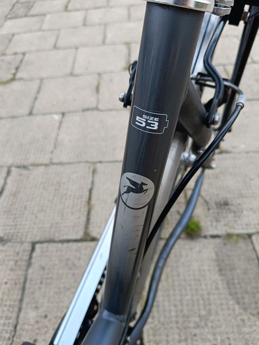 Rower Pegasus  solero stan bdb