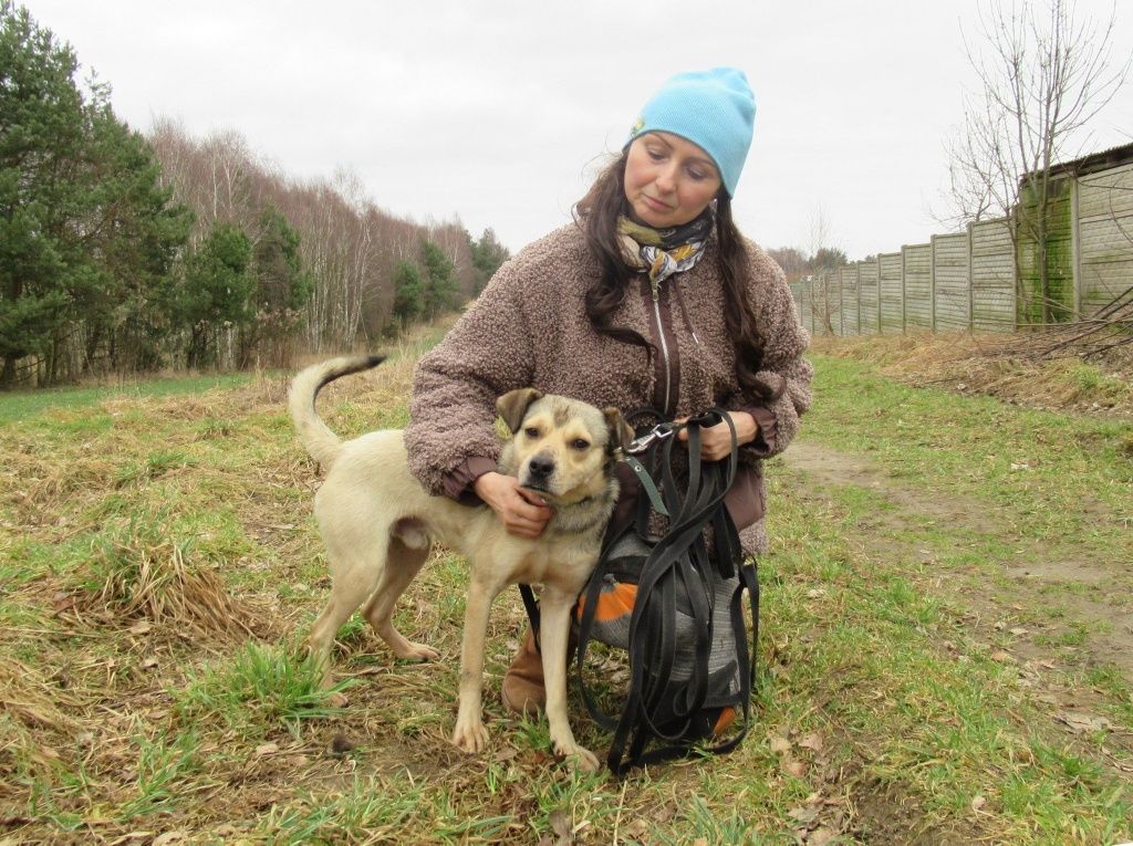 Młodziutki Bezik poleca się do adopcji