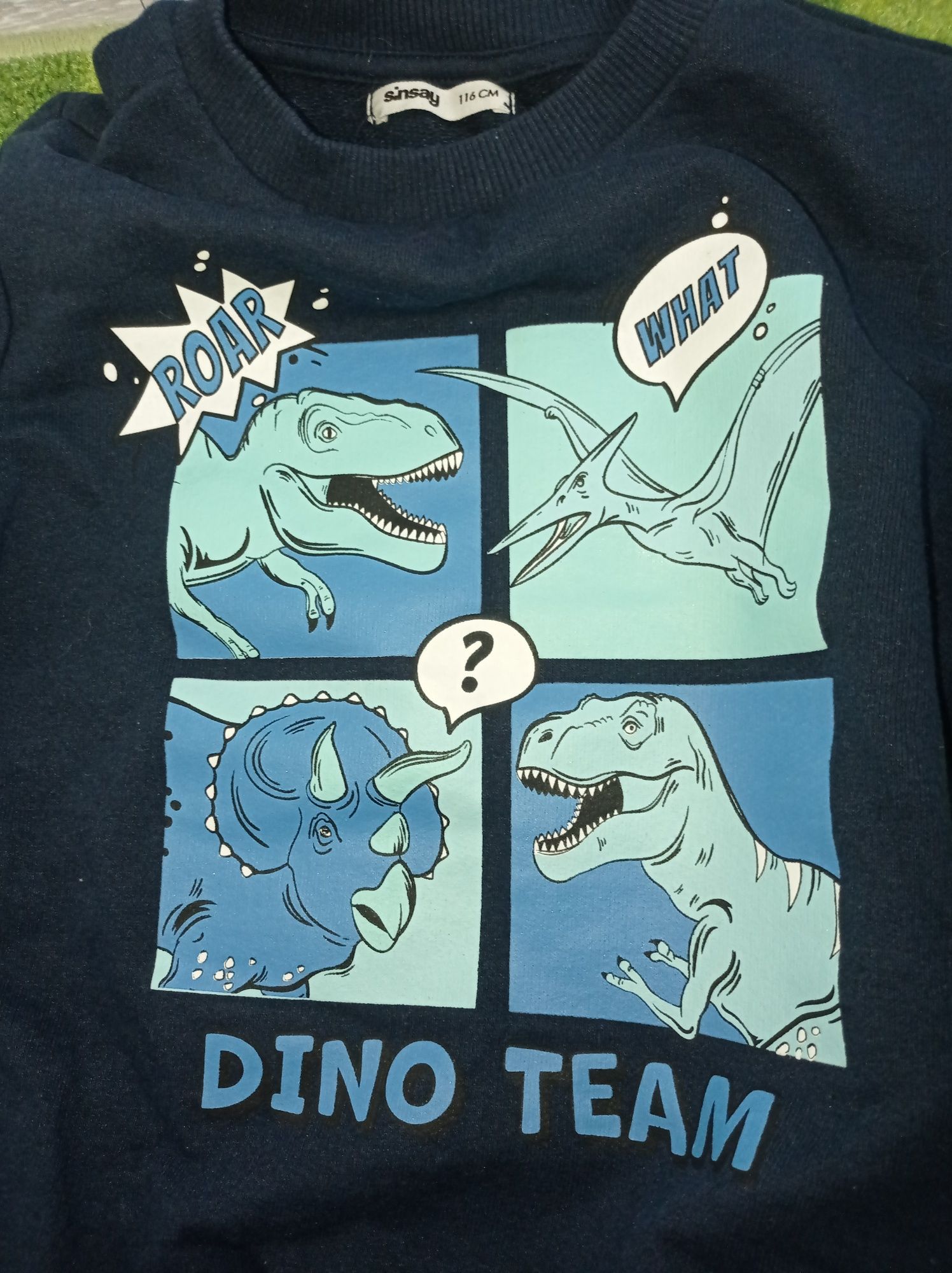 Bluza sinsay nierozpinana w dinozaury