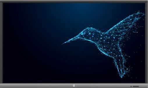 Monitor Tablica Interaktywna Avtek TouchScreen 5 Lite 55''