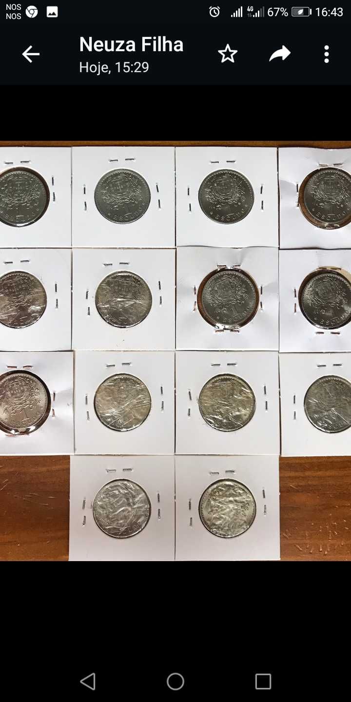 Moedas de escudo alpaca soberbas