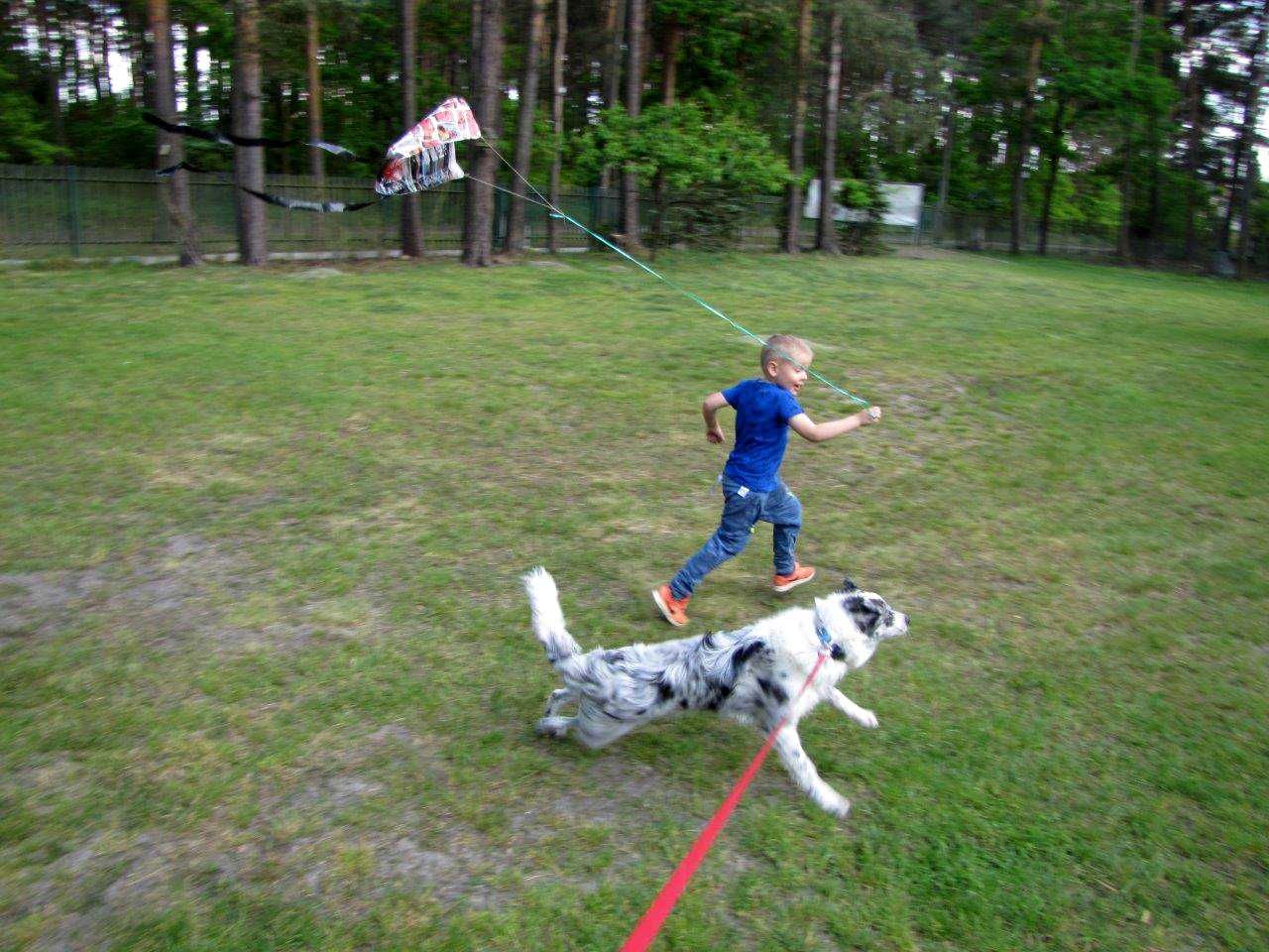 Hotel dla Psów. Labrador,Owczarek,Husky,Golden,kundel, noclegi, Wczasy