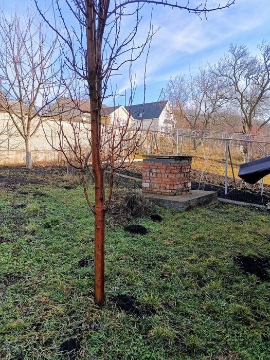 Продаж Новий будинок 2 поверхи + гараж