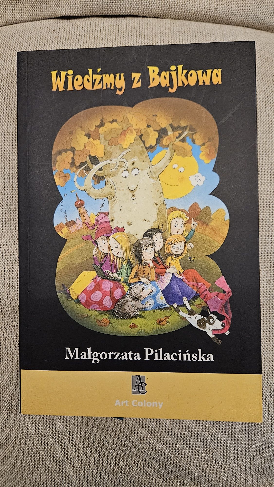 Wiedźmy z Bajkowa / The Witches from Faryborough Malgorzata Pilacińska