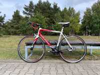 Colnago Ace Carbon  roz.52