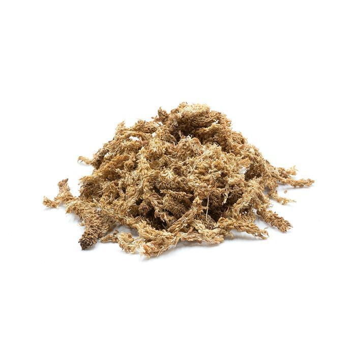 Biosphag Moss Chile Mech Torfowiec Sphagnum Chilijski 5Kg 250L