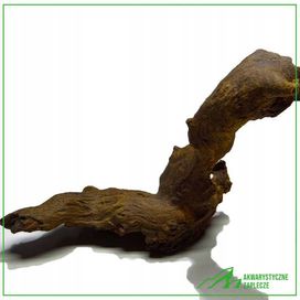Korzeń Akwariowy - Plant Wood - 22x7x15cm - Korzeń do akwarium WYSYŁKA
