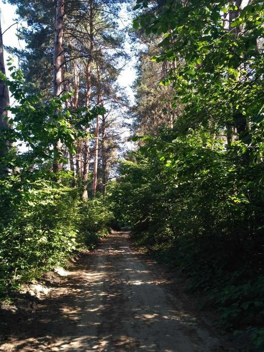 Я Продам дачу, Кам’яна Гора, масив Борковський