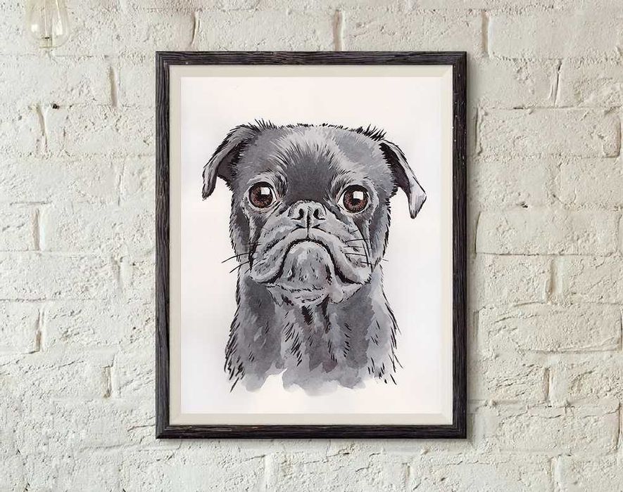 Mops - portret mopsa, obraz psa, rysunek mopsa