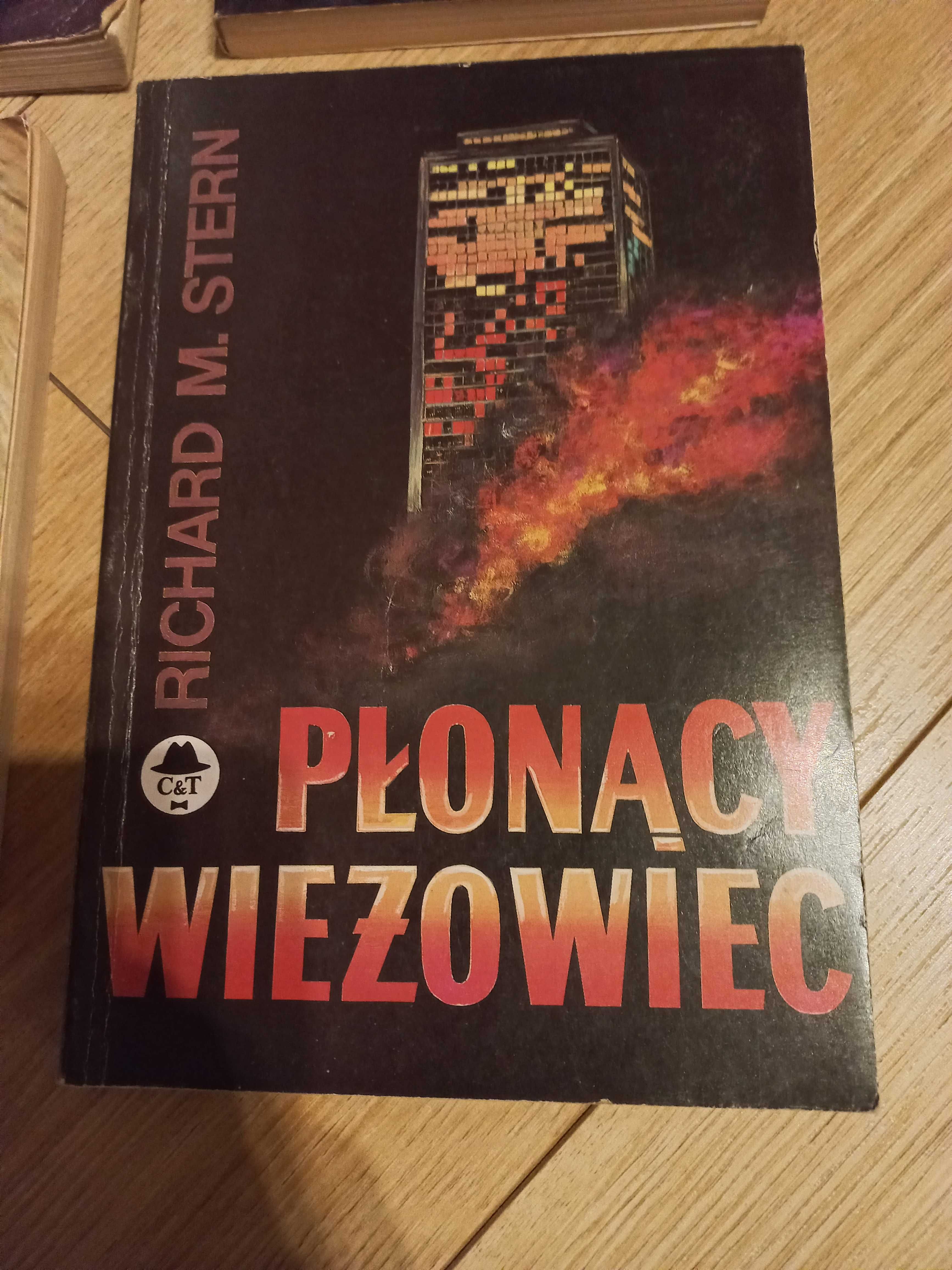 4 książki Głębia Rodzinny Poker Płonący Wieżowiec Kot, który czytał ws