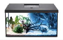 Akwarium 60x30x40 72L+pokrywa AQUAEL LED DZIEŃ/NOC+ pełne wyposażenie