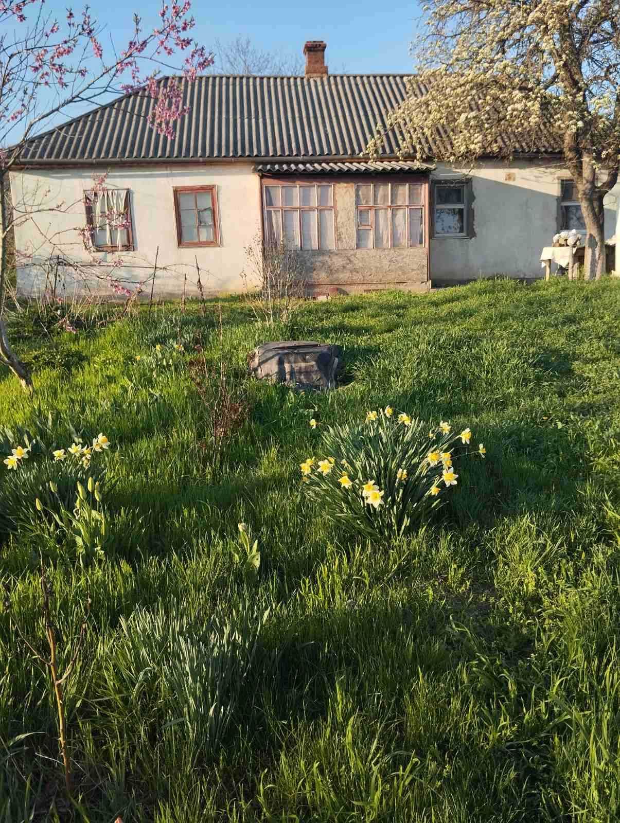 Продаж будинку біля річки Синюха, вул. Автодорівська, м. Первомайськ