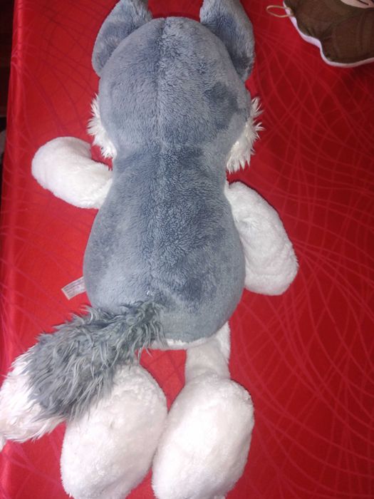 Cão Serra da Estrela ladra