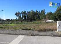 Lote de construção para moradia situado em Cernache do Bonjardim